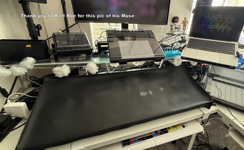 Moog muse synthesizer dust - moog,