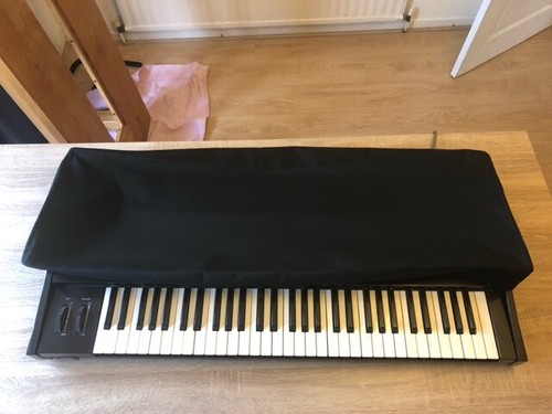 Synthesizer and keyboard dust - synthesizer,